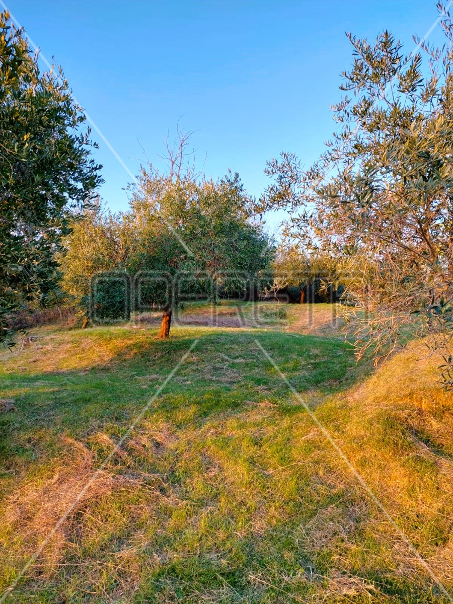 Квартира, 3026 м², 323 084$ — FAKTOR