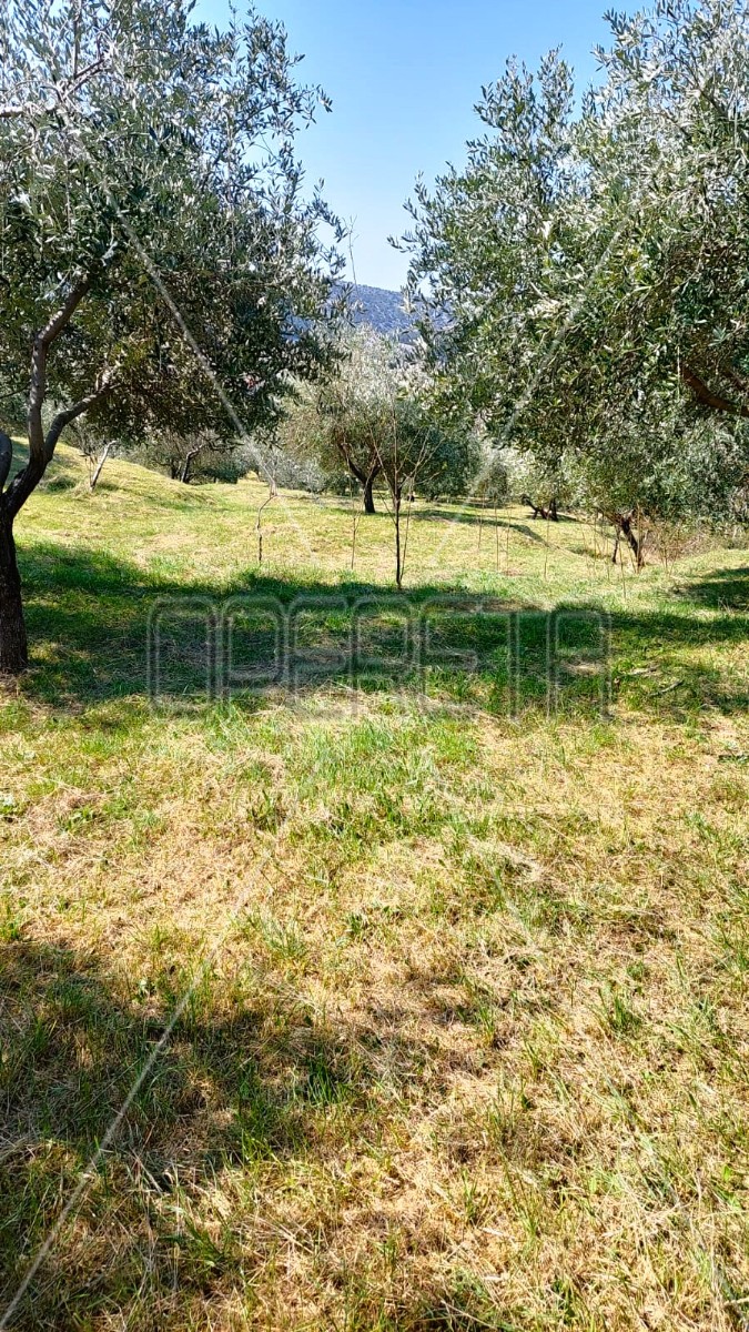 Квартира, 3026 м², 323 084$ — FAKTOR