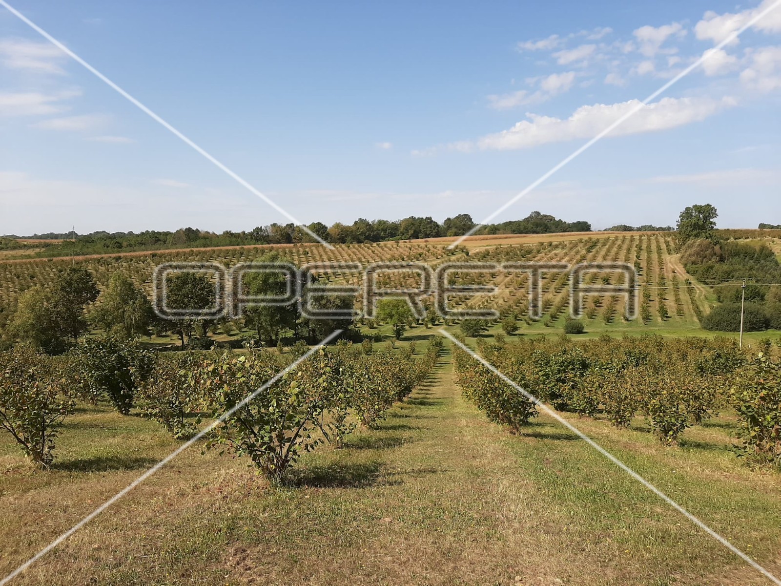 Квартира, 99500 м², 179 988$ — FAKTOR