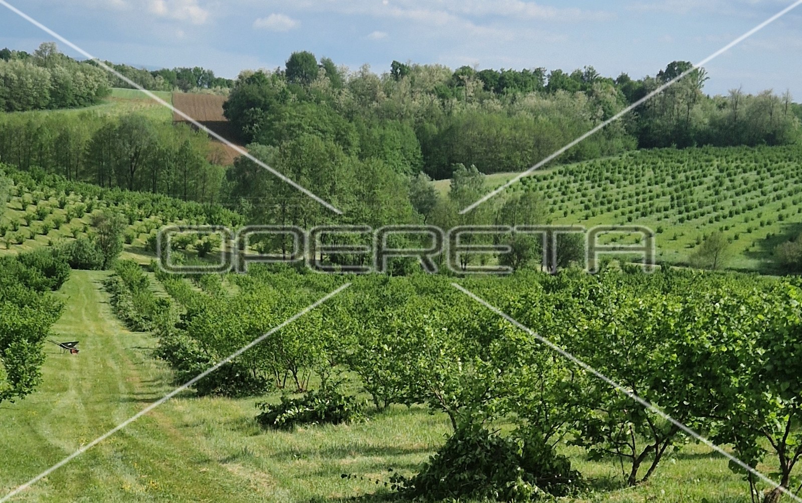 Квартира, 99500 м², 179 988$ — FAKTOR