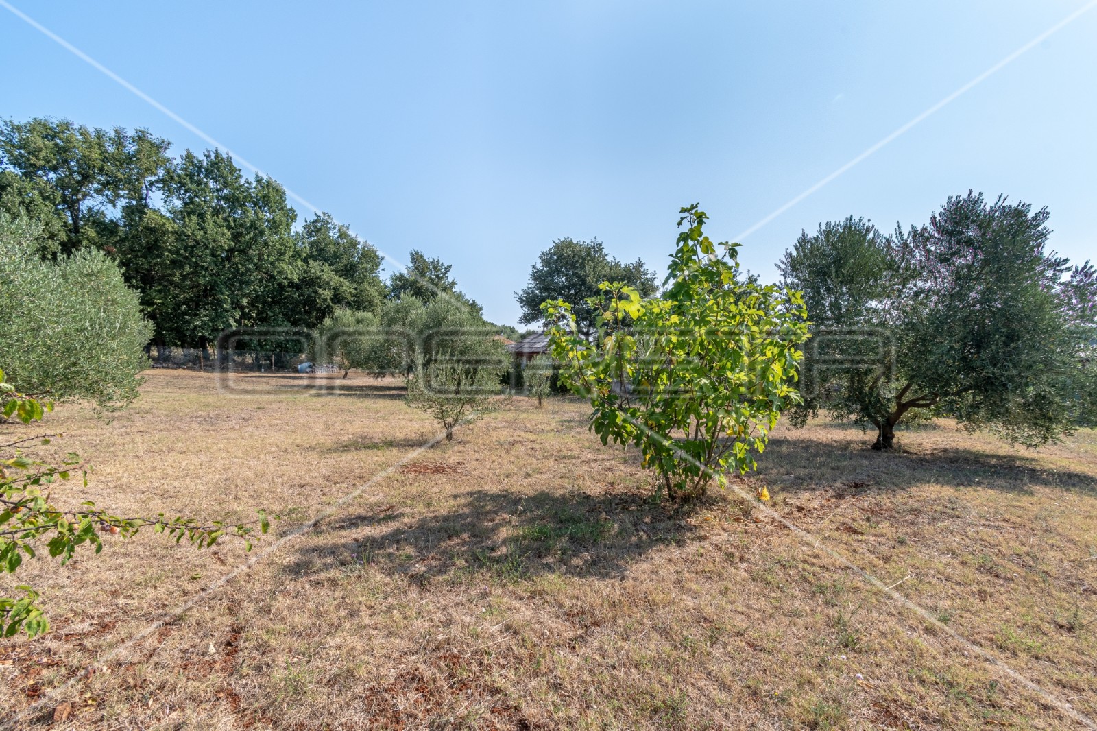 Квартира, 533 м², 68 727$ — FAKTOR