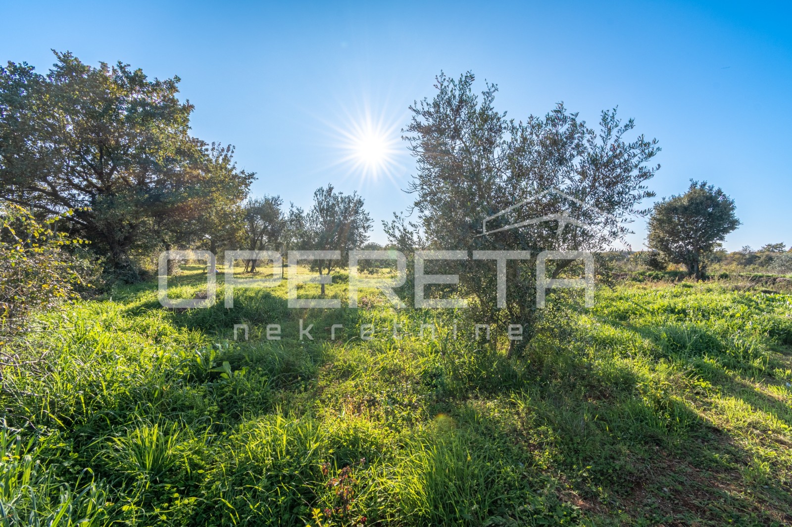 Квартира, 400 м², 24 676$ — FAKTOR
