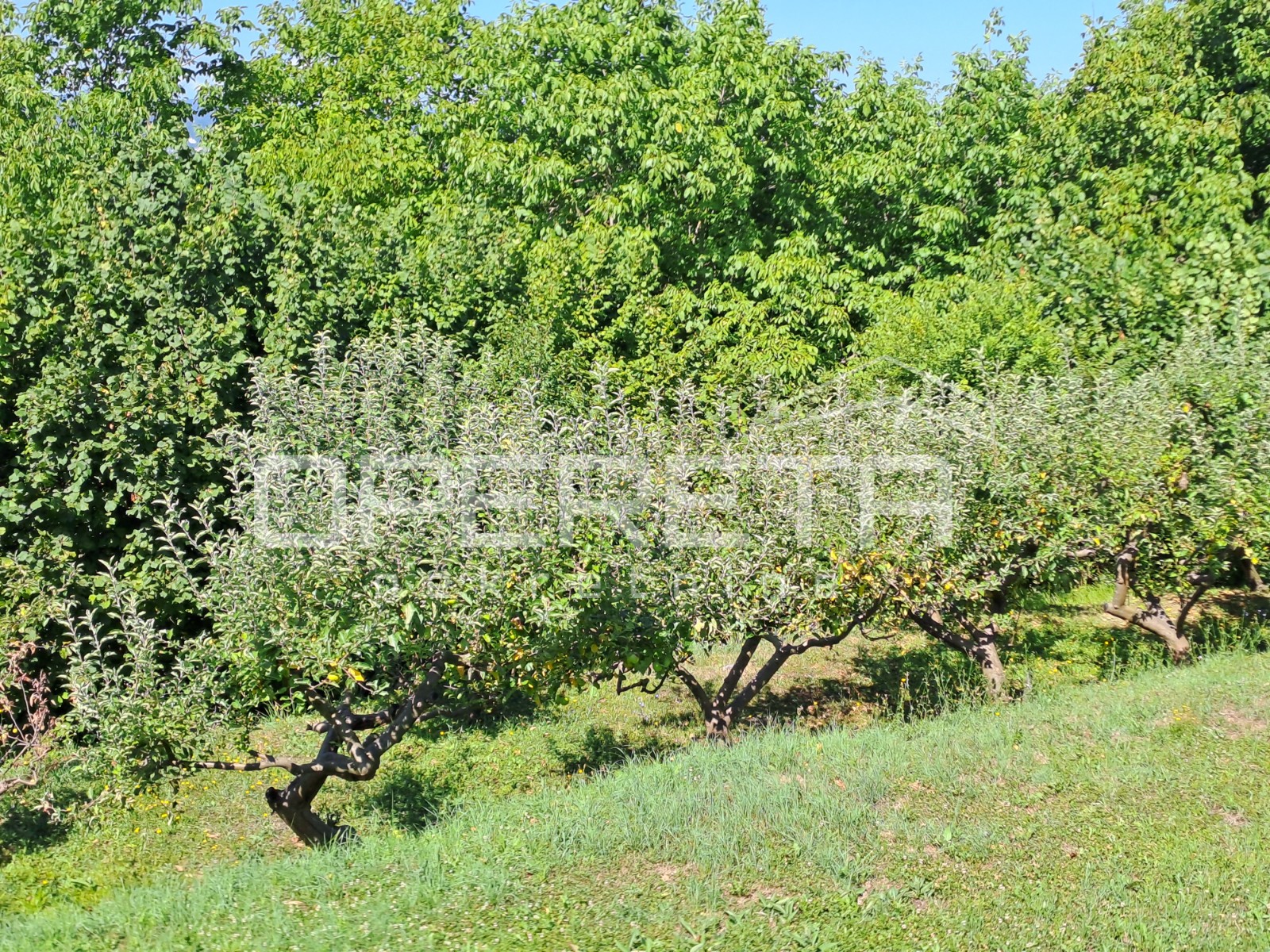 Prodaja, Kuća, Podsused, Gornji put, Samostojeća, 227m2