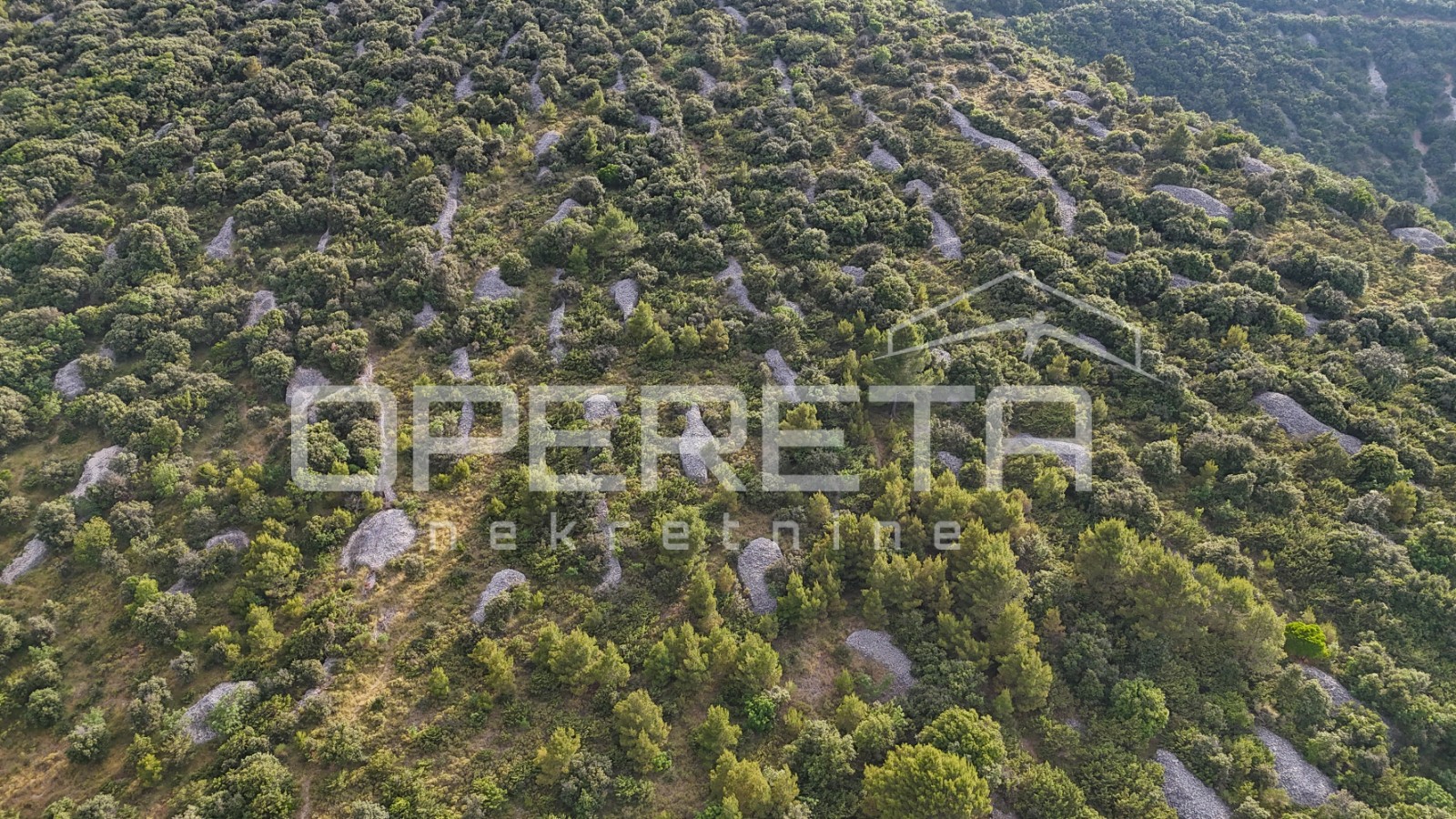 Trišnja, Škrip, 14.027,00 m2, 210.405,00 EUR