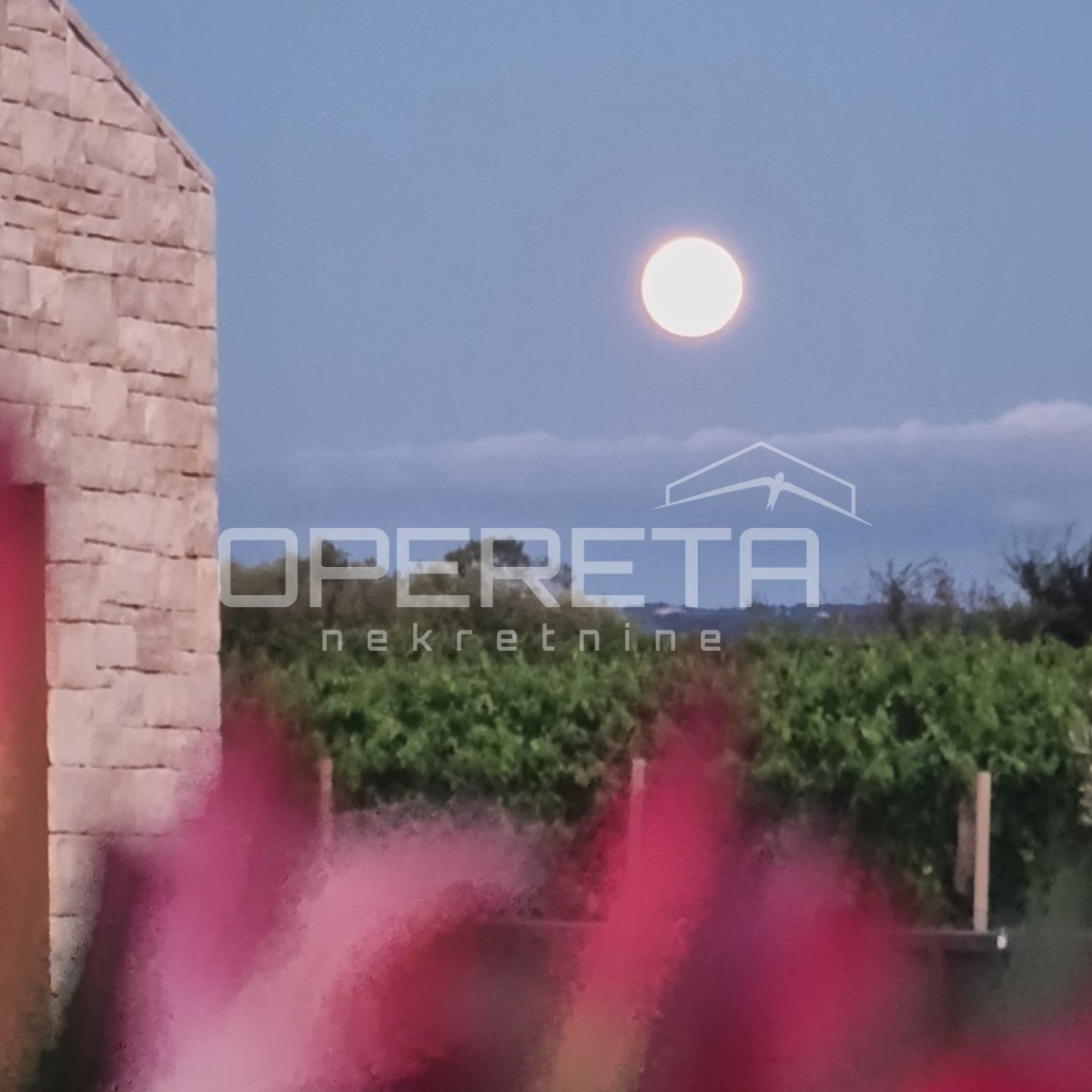 Prodaja, Kuća, Brtonigla, Brtonigla, Samostojeća, 252m2