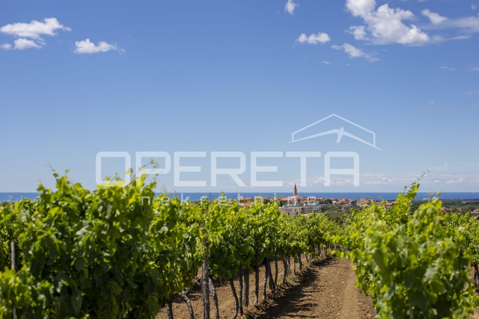 Prodaja, Kuća, Brtonigla, Brtonigla, Samostojeća, 252m2