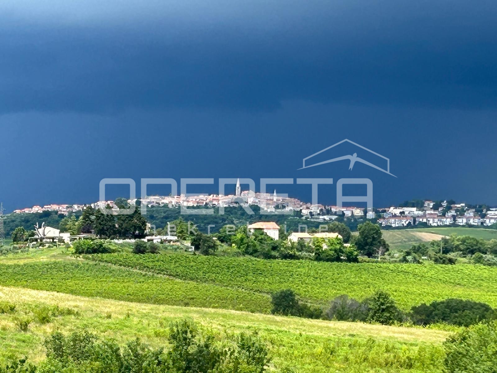 Prodaja, Kuća, Brtonigla, Brtonigla, Samostojeća, 252m2