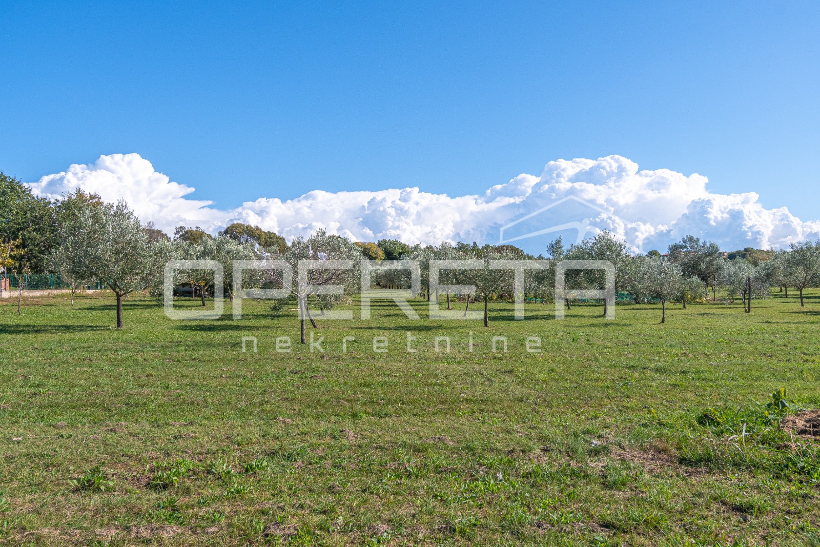 Poreč, Poreč, 5.721,00 m2, 590.000,00 EUR