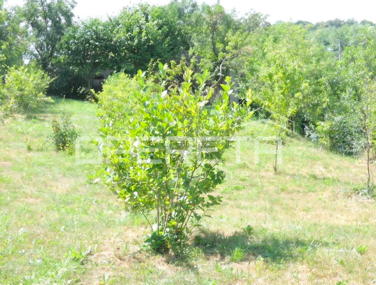 Perjavica, Perjavica, 5.328,00 m2, 850.000,00 EUR